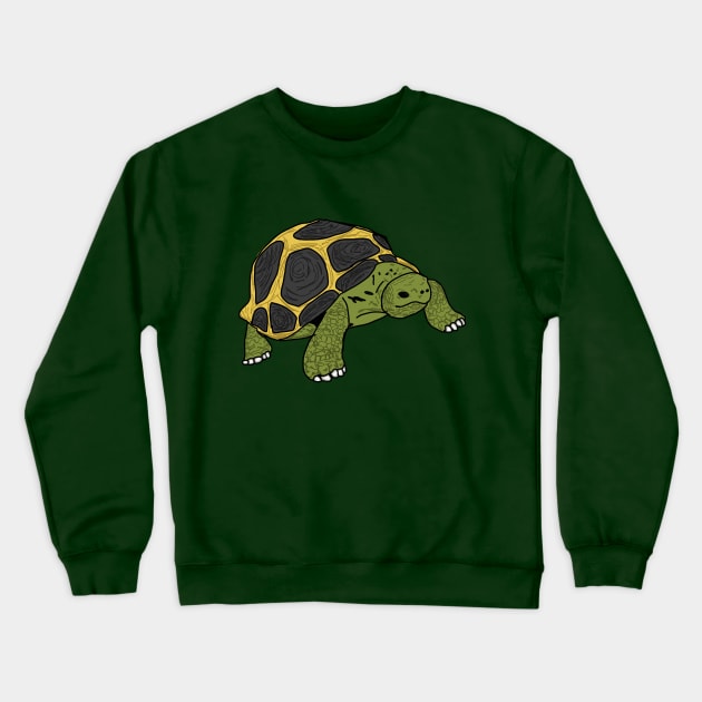 Tortoise Crewneck Sweatshirt by Geometrico22